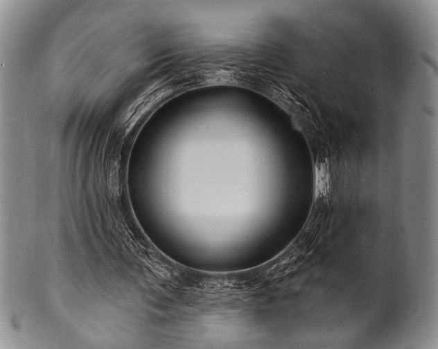 X0000100780291200806261635