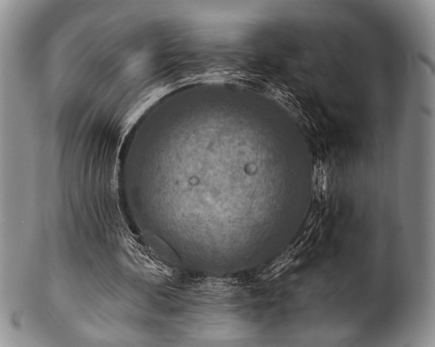 X0000100780292200806261635