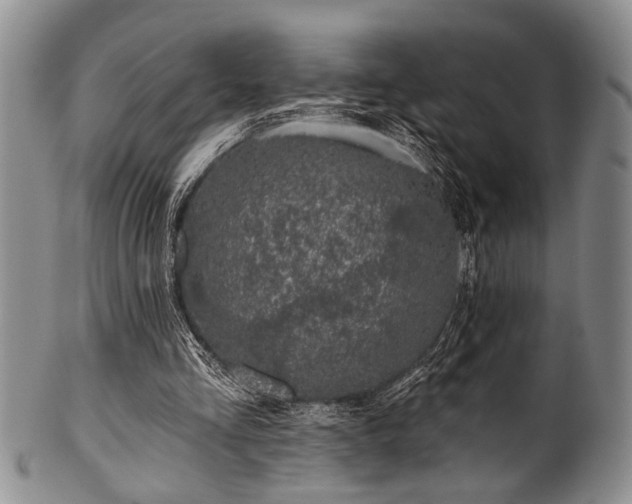 X0000100780293200806261635