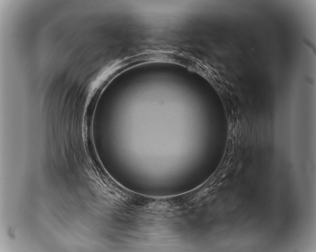 X0000100780294200806261635