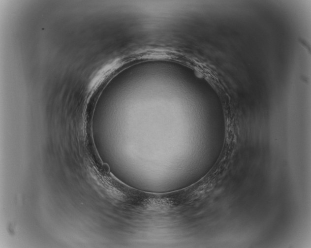 X0000100780296200806261635