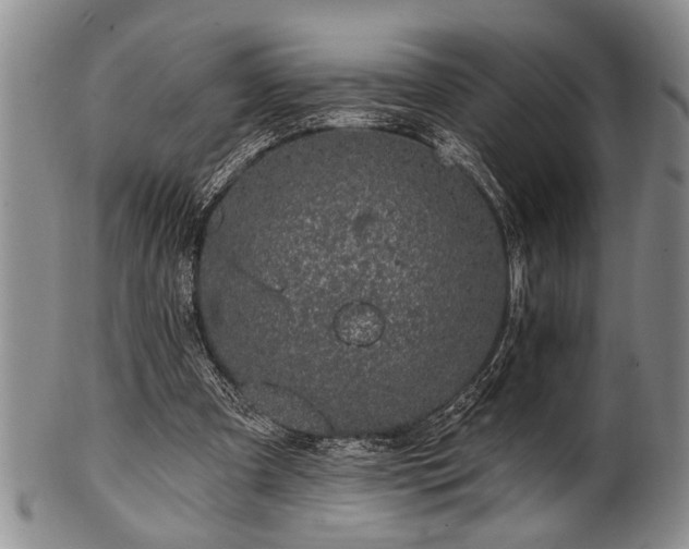 X0000100780297200806261635