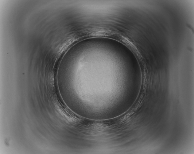 X0000100780298200806261635