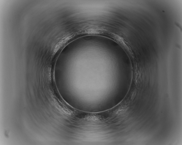 X0000100780299200806261635