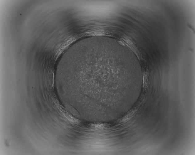 X0000100780301200806261635