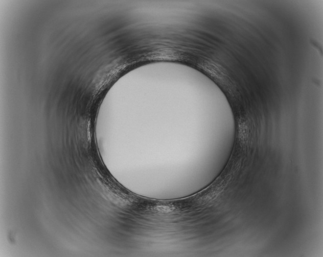 X0000100780302200806261635