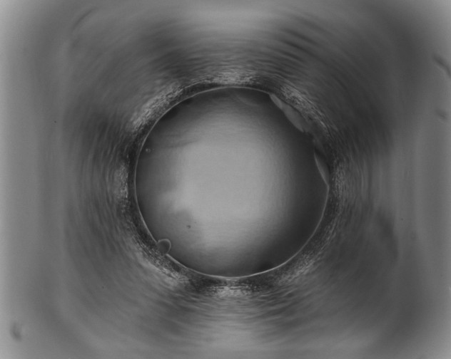 X0000100780303200806261635