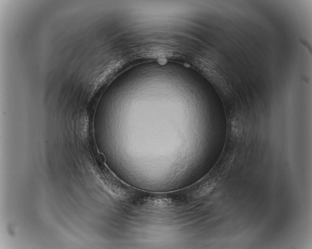 X0000100780304200806261635