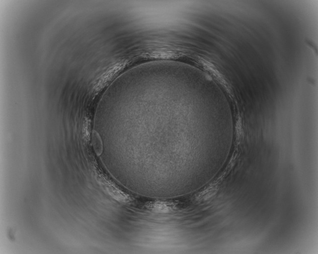 X0000100780305200806261635