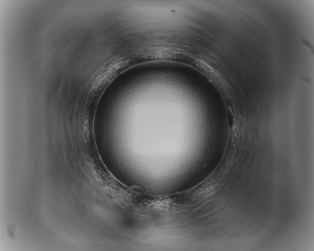 X0000100780306200806261635