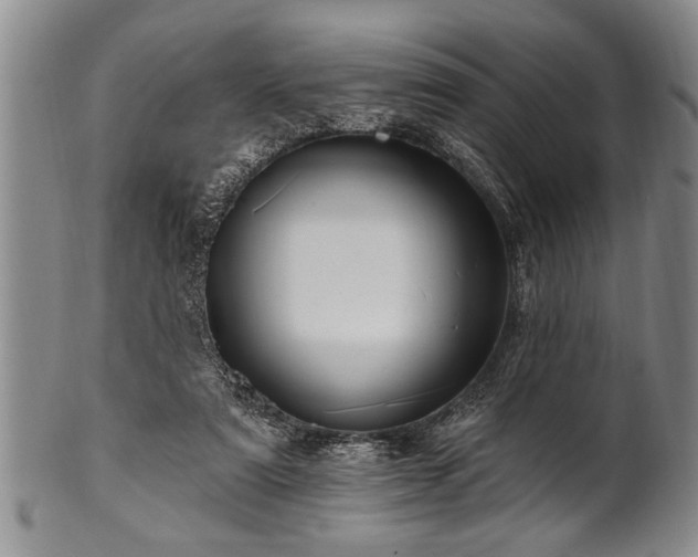 X0000100780307200806261635