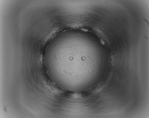 X0000100780308200806261635