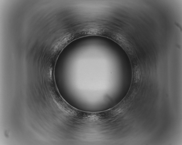 X0000100780310200806261635