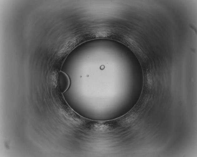 X0000100780311200806261635