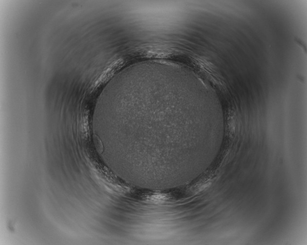 X0000100780312200806261635