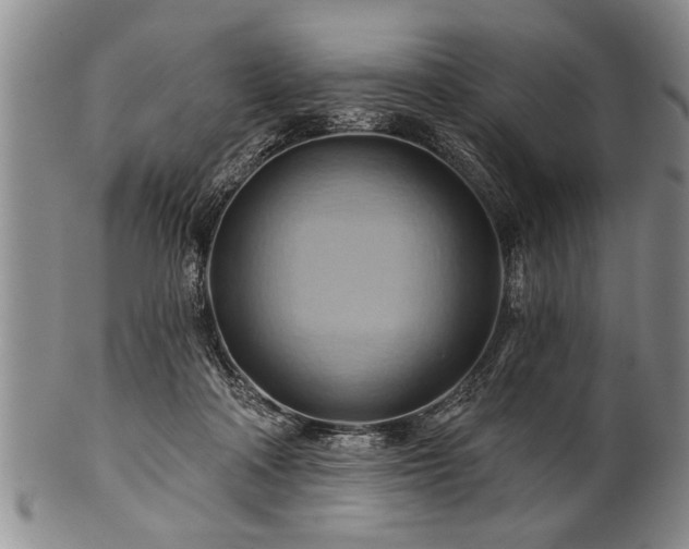 X0000100780314200806261635