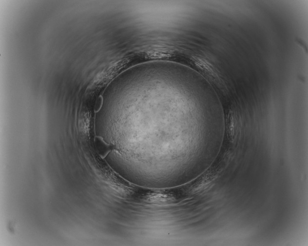 X0000100780315200806261635