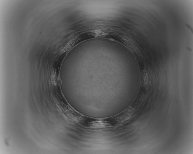 X0000100780316200806261635