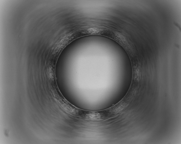 X0000100780317200806261635