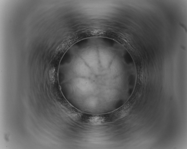 X0000100780319200806261635