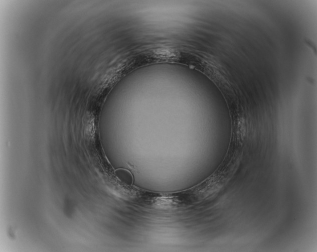 X0000100780320200806261635