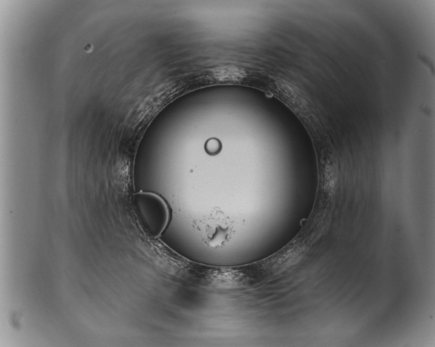 X0000100780321200806261635