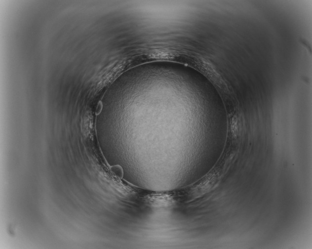 X0000100780322200806261635