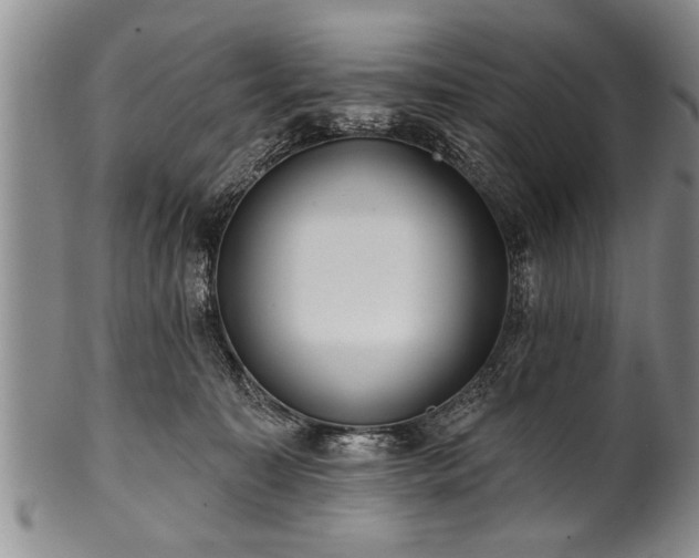 X0000100780323200806261635