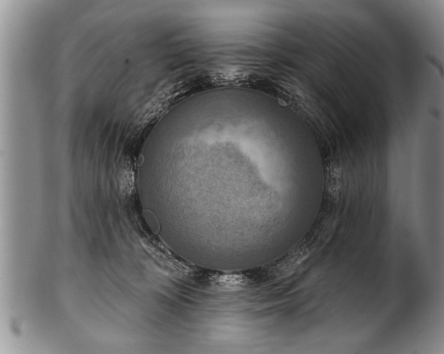 X0000100780324200806261635