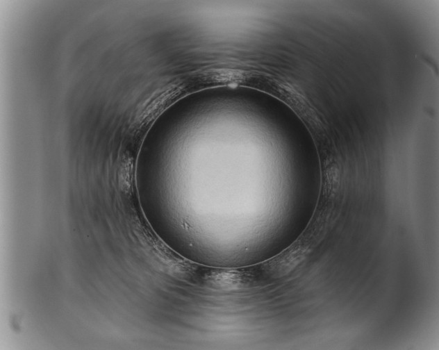 X0000100780325200806261635