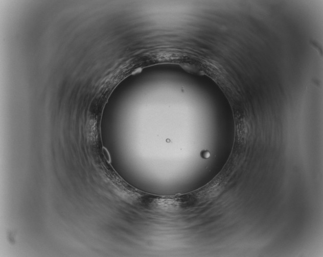 X0000100780327200806261635