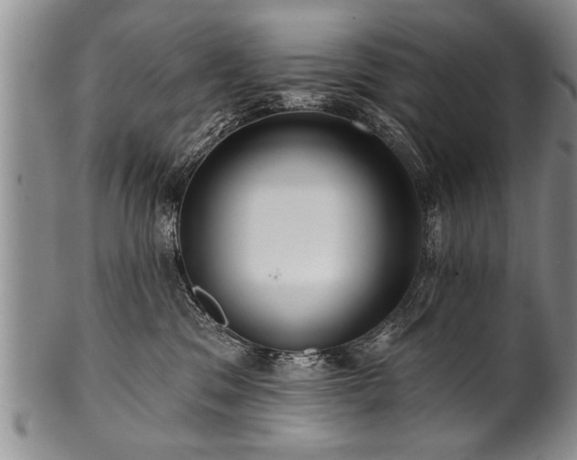 X0000100780329200806261635