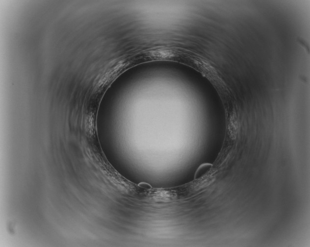 X0000100780330200806261635