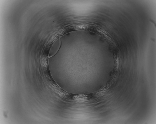 X0000100780331200806261635