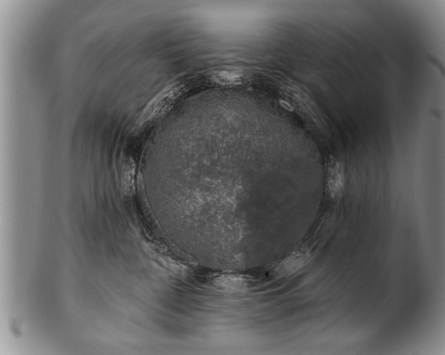 X0000100780332200806261635