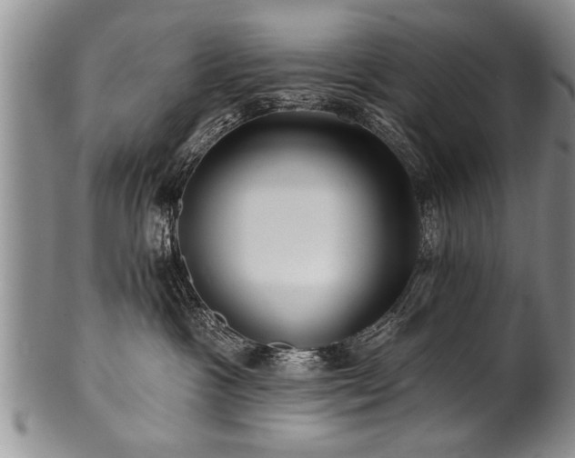 X0000100780333200806261635