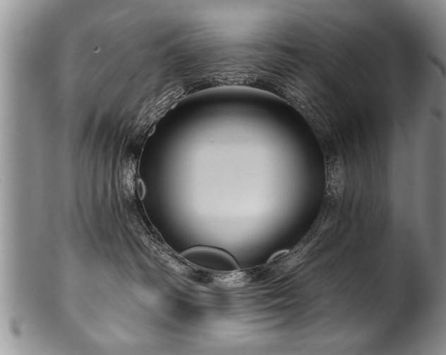 X0000100780334200806261635