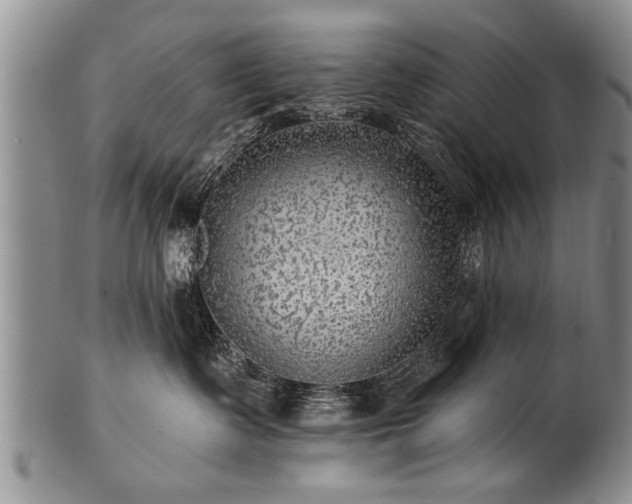 X0000100780335200806261635