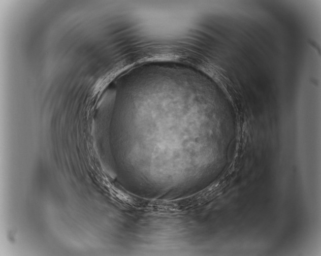 X0000100780337200806261634