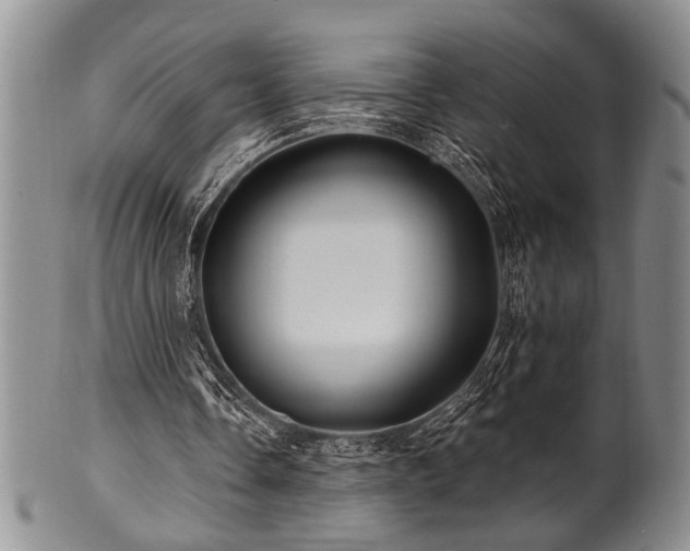 X0000100780338200806261634