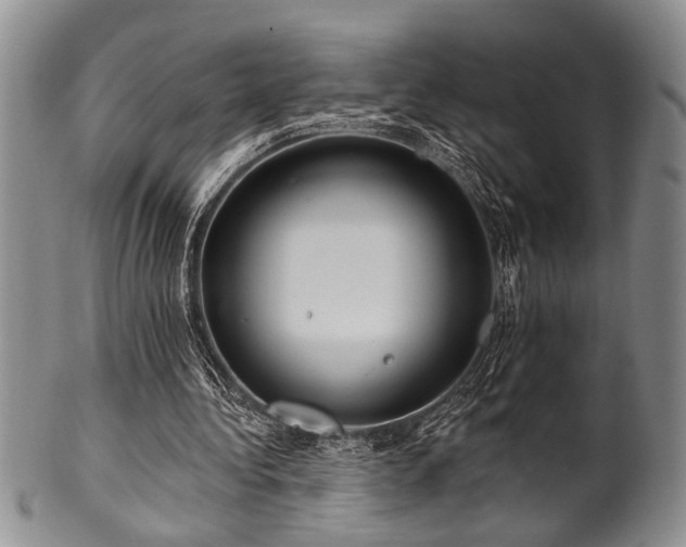 X0000100780340200806261634