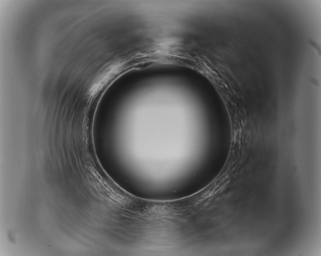 X0000100780341200806261634