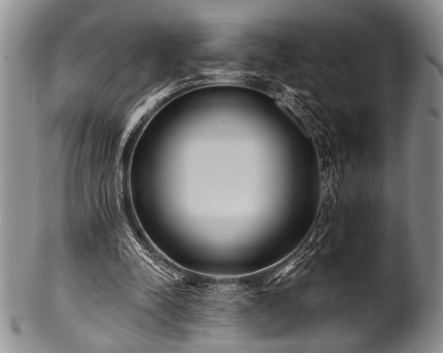 X0000100780342200806261634