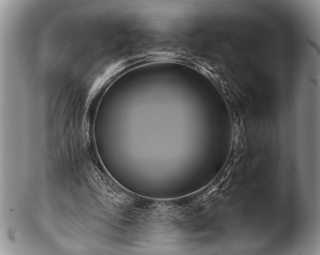 X0000100780343200806261634