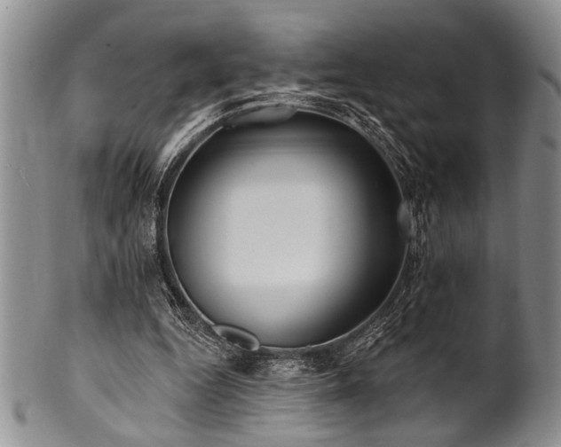 X0000100780344200806261634