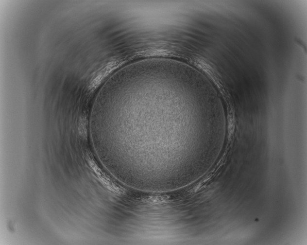 X0000100780345200806261634