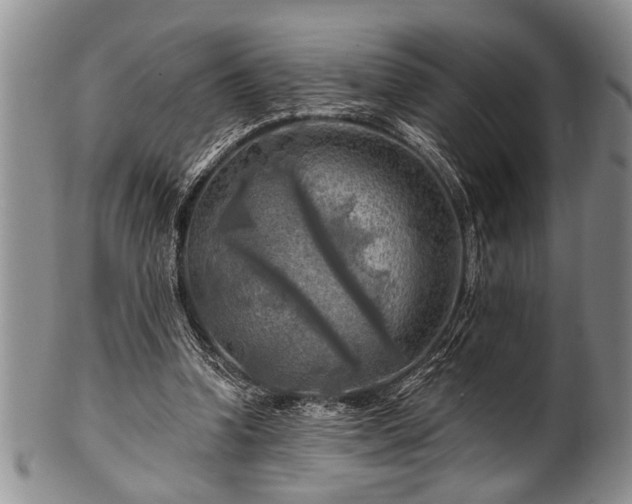 X0000100780346200806261634