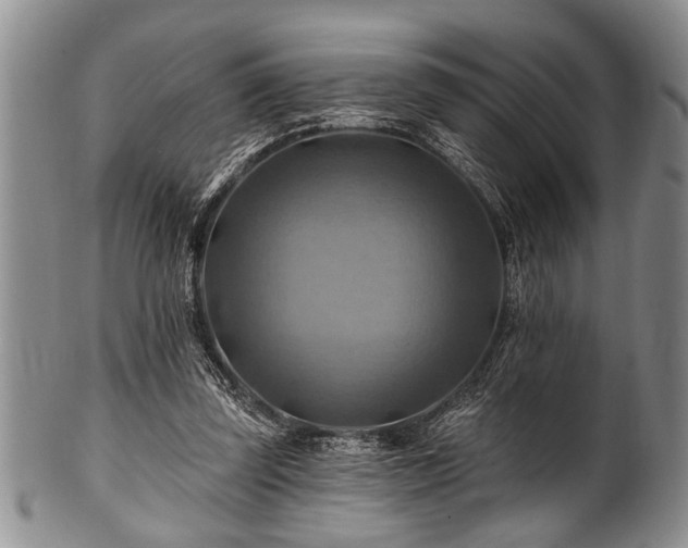 X0000100780347200806261634