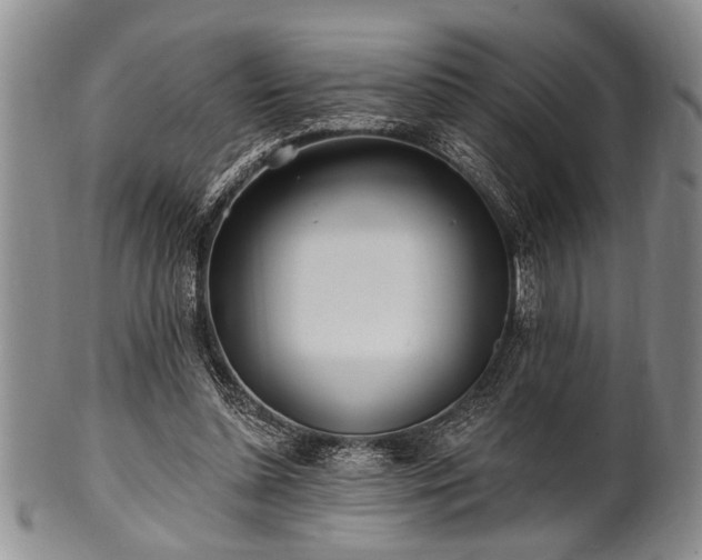 X0000100780348200806261634