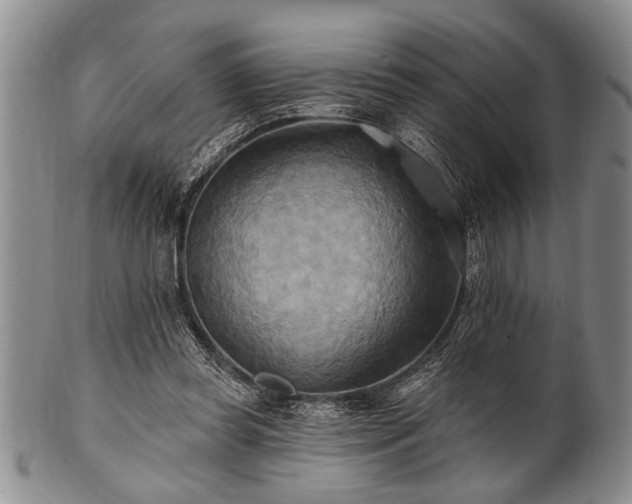 X0000100780349200806261634